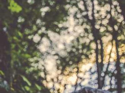 Stand By Me Actor Wil Wheaton to Voice Audiobook of Stephen King’s The Body