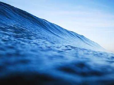 AI Allegations Surround a Buzzy New Book