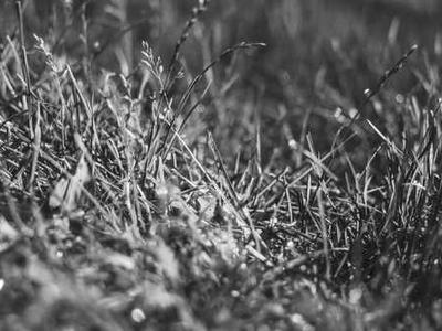 From Classroom To Pocket: Transitioning Traditional Training To Mobile eLearning (Challenges And Solutions)