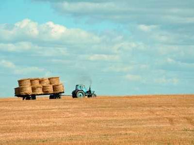 Steve Rogers Will Be Daddy in Avengers: Doomsday
